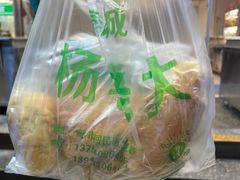 -杨老大焙子月饼干货(宽巷子民族美食街店)