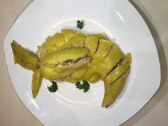 -东方豪生·老方一帖中餐厅