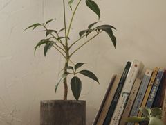 -MAISON门前杂货店