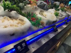 -千百叶海鲜自助餐厅(万达广场店)