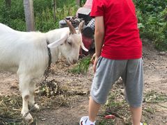 -美家乐农庄·露营·团建(大治路店)