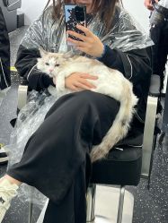 -IN 巷 salon明星店