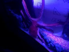 -沈阳海洋探索中心