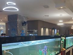 -水立方国际汤泉(六一中路店)