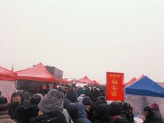 -蒲河大集