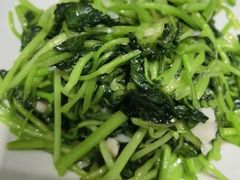 -鸽子窝(宋庄店)