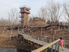 -东郊湿地公园