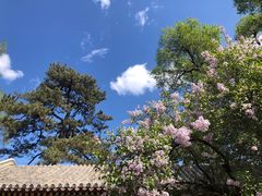 -承德避暑山庄景区