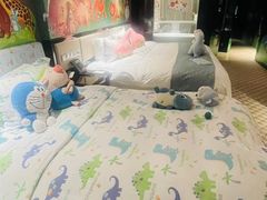 -常州环球恐龙城维景国际大酒店