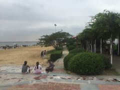 -碧海金沙