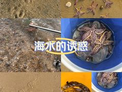 -海驴岛(荣成市)