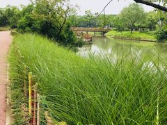 -菊园百果园