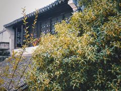 -惠山古镇·寄畅园