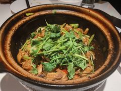 沙姜嗜鸡-煲煲好(朝阳门店)