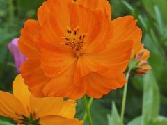 -贵阳市花溪国家城市湿地公园