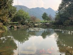 -中国茶叶博物馆(双峰馆区)