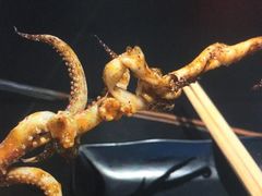 -黄鱼炙夜·烧烤·小龙虾(世茂缤谷店)