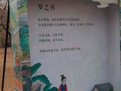 -红楼梦邮局