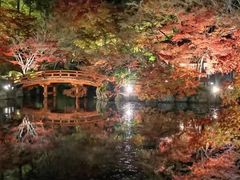 -醍醐寺