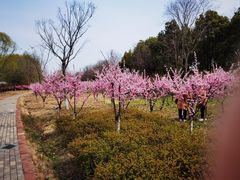 -洪泽湖古堰景区