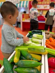 -莫莉幻想儿童乐园(武汉经开永旺店)