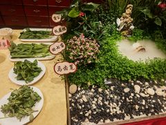 -钦善斋(武侯祠店)