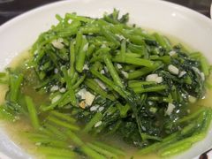 -知鱼轩