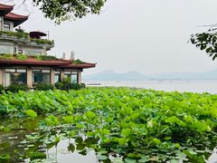 -湖畔居茶楼(湖滨店)