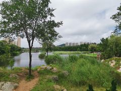 -前关湿地公园