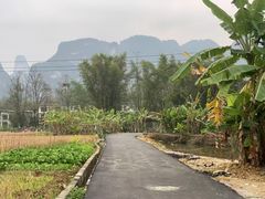 -明仕田园