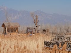 -野鸭湖国家湿地公园