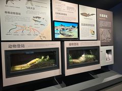 -四川大学博物馆