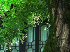 -成都杜甫草堂博物馆