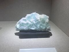 -陕西自然博物馆