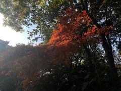 -湖畔居茶楼(湖滨店)