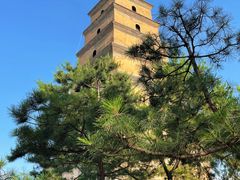 -大慈恩寺(大雁塔)