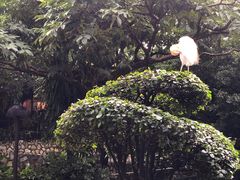 -吉隆坡雀鸟公园