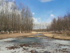 -东郊湿地公园