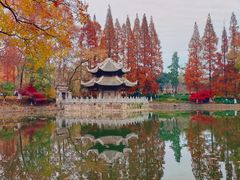 -习家池
