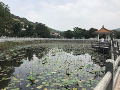 -红山村