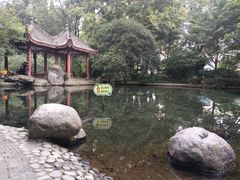 -温江公园