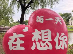 -上海鲜花港