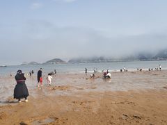 -大京沙滩