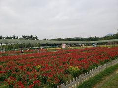 -盈香心动乐园