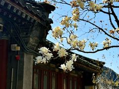 -潭柘寺景区