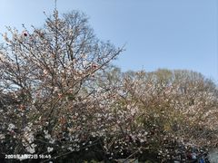 -幕燕滨江·燕子矶公园