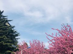 -西安理工大学(金花校区)