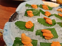-月龍吟(朝龙汇店)