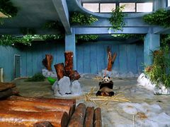 -海南热带野生动植物园