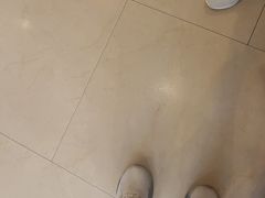 -眉州东坡(亚运村店)